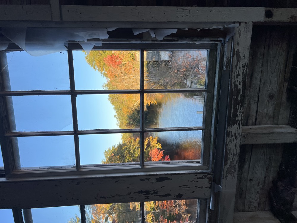 The Annex, view 11