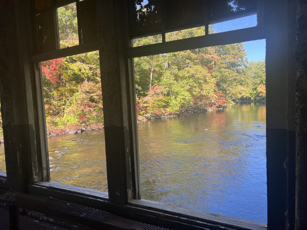 The Annex, view 6
