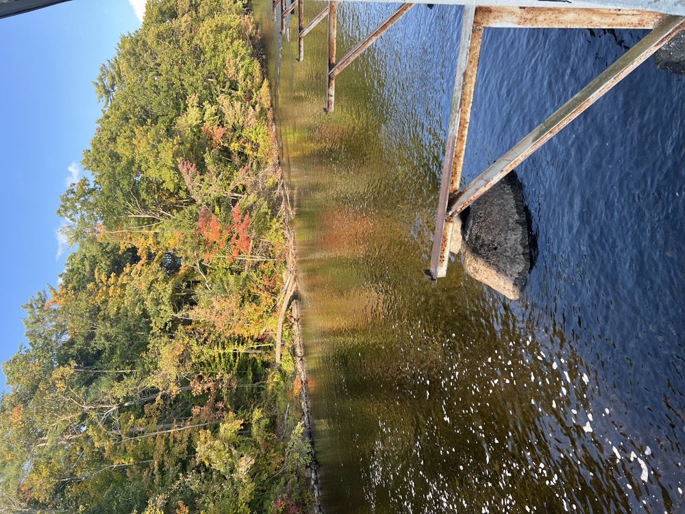The Mill, view 7